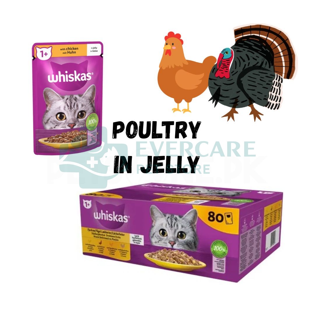 WHISKAS Jelly 80/85 Gram Pouch (Chicken/Turkey/Duck)